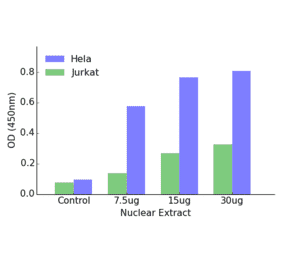 Validation Data - GATA6 ELISA Kit (TFE-7080) - Antibodies.com