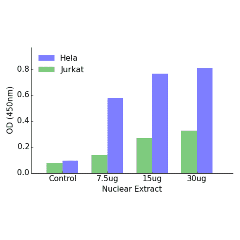 Validation Data - GATA6 ELISA Kit (TFE-7080) - Antibodies.com