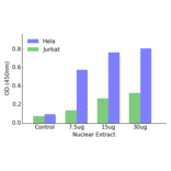 Validation Data - GATA6 ELISA Kit (TFE-7080) - Antibodies.com