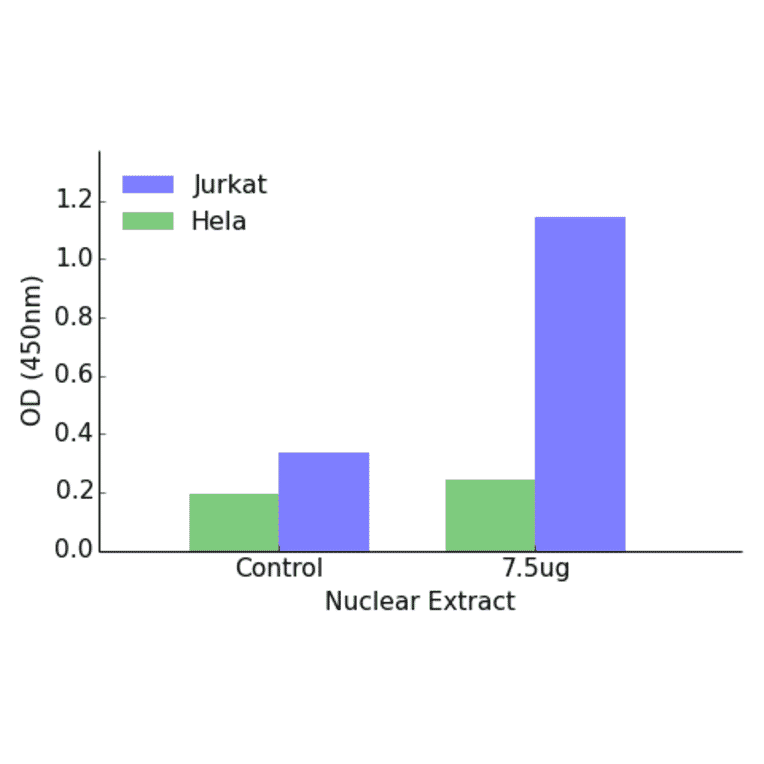 Validation Data - NCOR2 ELISA Kit (TFE-7103) - Antibodies.com
