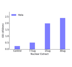 Validation Data - RREB1 ELISA Kit (TFE-7134) - Antibodies.com