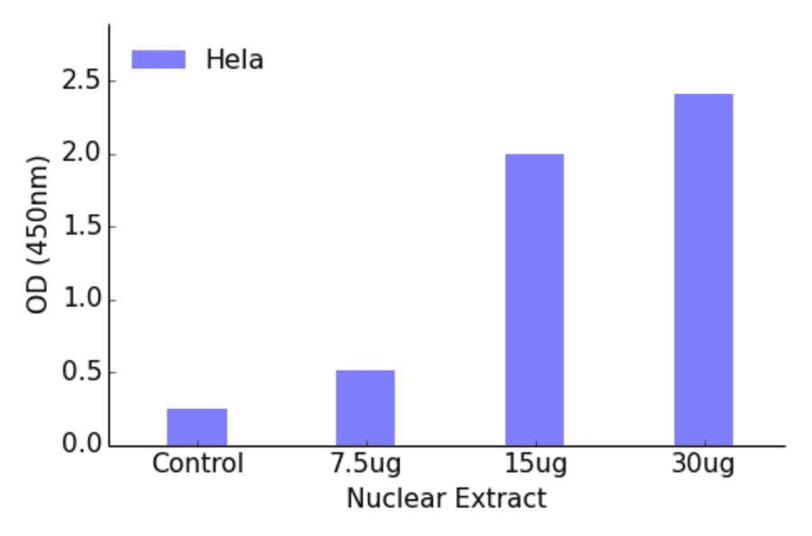 Validation Data - RREB1 ELISA Kit (TFE-7134) - Antibodies.com