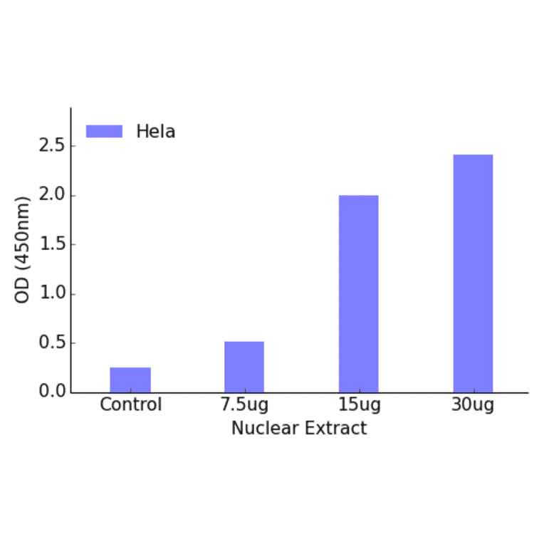 Validation Data - RREB1 ELISA Kit (TFE-7134) - Antibodies.com