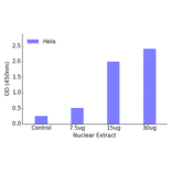 Validation Data - RREB1 ELISA Kit (TFE-7134) - Antibodies.com