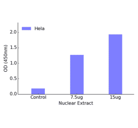 Validation Data - MEF2A ELISA Kit (TFE-7146) - Antibodies.com