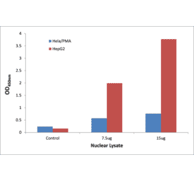 Validation Data - STAT1 ELISA Kit (TFE-7152) - Antibodies.com