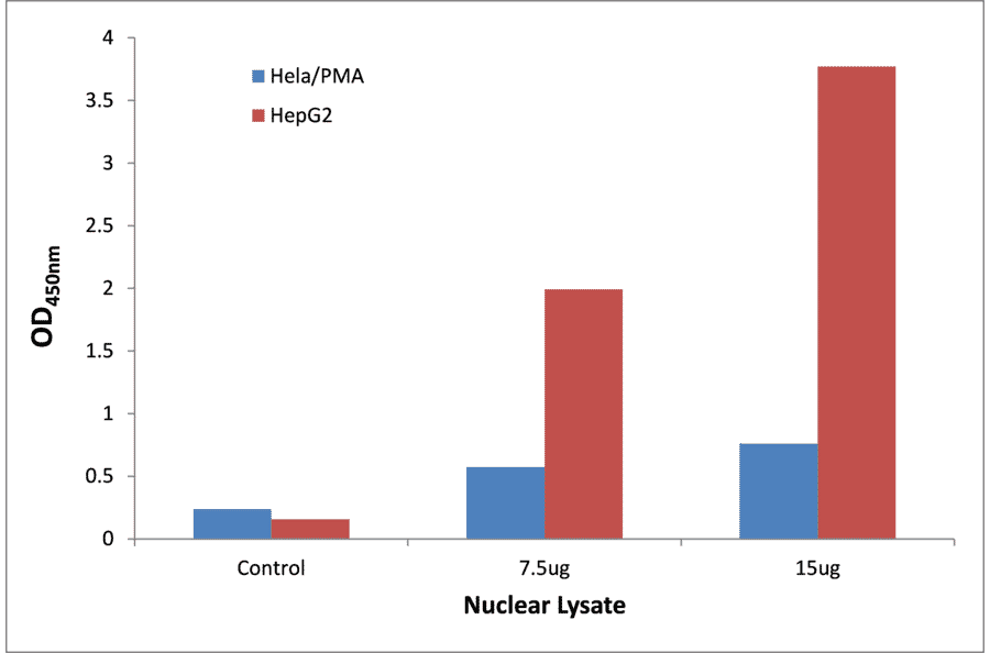 Validation Data - STAT1 ELISA Kit (TFE-7152) - Antibodies.com