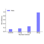 Validation Data - TBX18 ELISA Kit (TFE-7157) - Antibodies.com