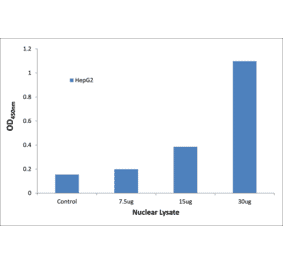 Validation Data - CEBPB ELISA Kit (TFE-7172) - Antibodies.com