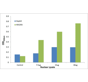 Validation Data - CEBPZ ELISA Kit (TFE-7200) - Antibodies.com