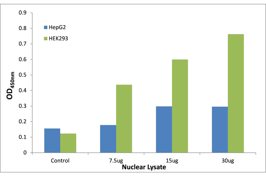 Validation Data - CEBPZ ELISA Kit (TFE-7200) - Antibodies.com