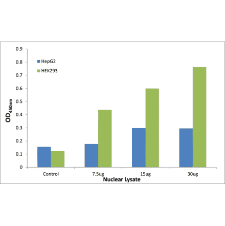 Validation Data - CEBPZ ELISA Kit (TFE-7200) - Antibodies.com