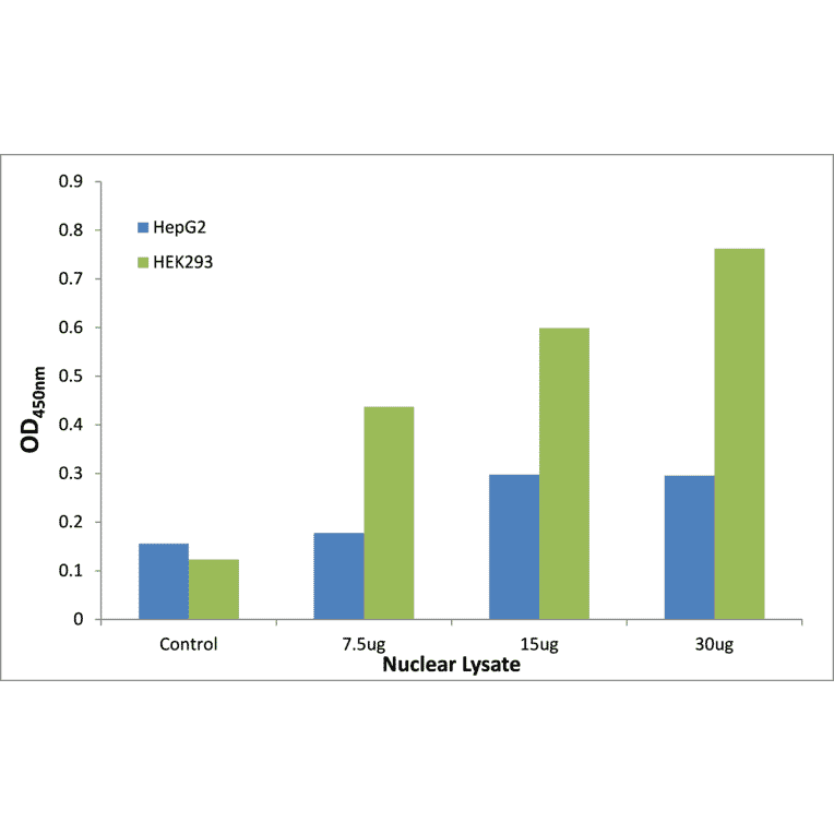 Validation Data - CEBPZ ELISA Kit (TFE-7200) - Antibodies.com