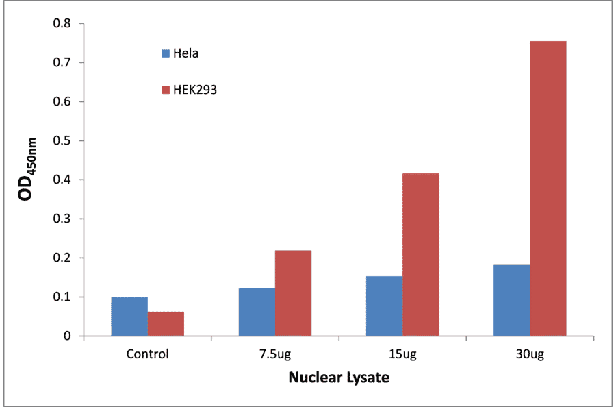 Validation Data - SOX12 ELISA Kit (TFE-7203) - Antibodies.com