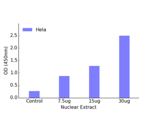Validation Data - AML1 ELISA Kit (TFE-7003) - Antibodies.com
