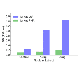 Validation Data - JunB ELISA Kit (TFE-7016) - Antibodies.com