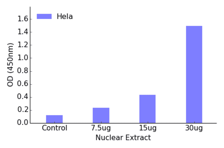Validation Data - AP-2 ELISA Kit (TFE-7018) - Antibodies.com