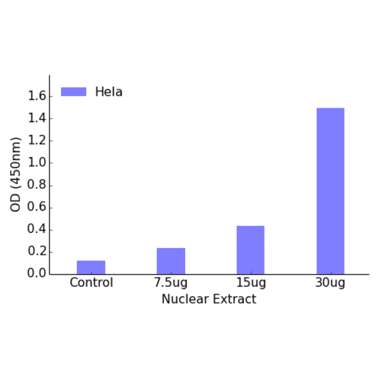 Validation Data - AP-2 ELISA Kit (TFE-7018) - Antibodies.com