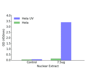Validation Data - ATF2 ELISA Kit (TFE-7028) - Antibodies.com