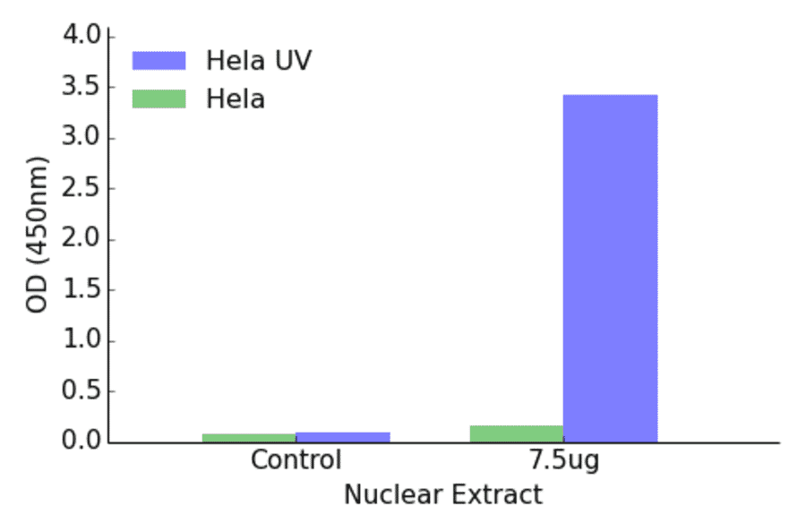 Validation Data - ATF2 ELISA Kit (TFE-7028) - Antibodies.com