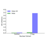Validation Data - ATF2 ELISA Kit (TFE-7028) - Antibodies.com