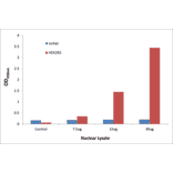 Validation Data - CDX2 ELISA Kit (TFE-7038) - Antibodies.com