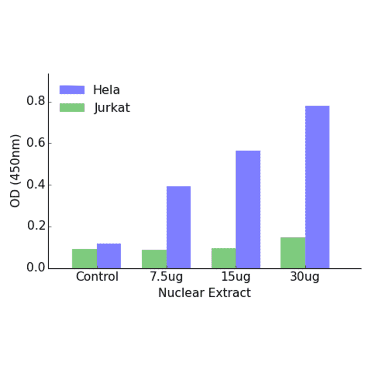 Validation Data - Elk1 ELISA Kit (TFE-7050) - Antibodies.com