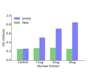 Validation Data - ETS1 ELISA Kit (TFE-7054) - Antibodies.com