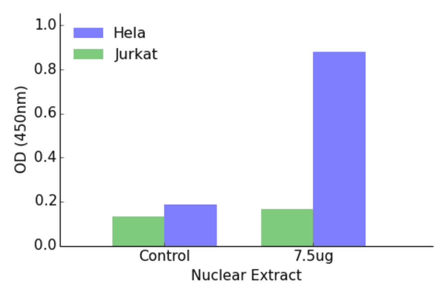 Validation Data - ETV4 ELISA Kit (TFE-7055) - Antibodies.com