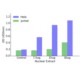 Validation Data - ETV6 ELISA Kit (TFE-7056) - Antibodies.com