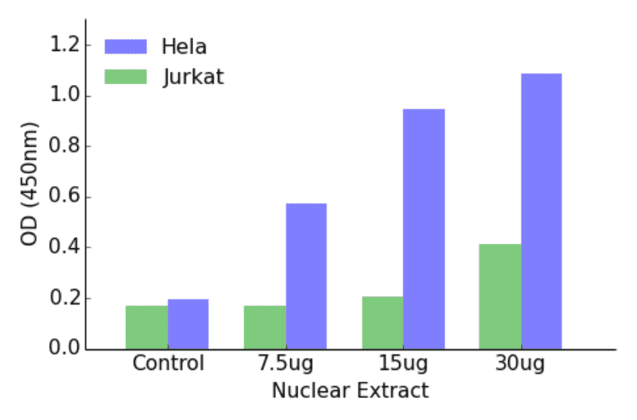 Validation Data - ETV6 ELISA Kit (TFE-7056) - Antibodies.com