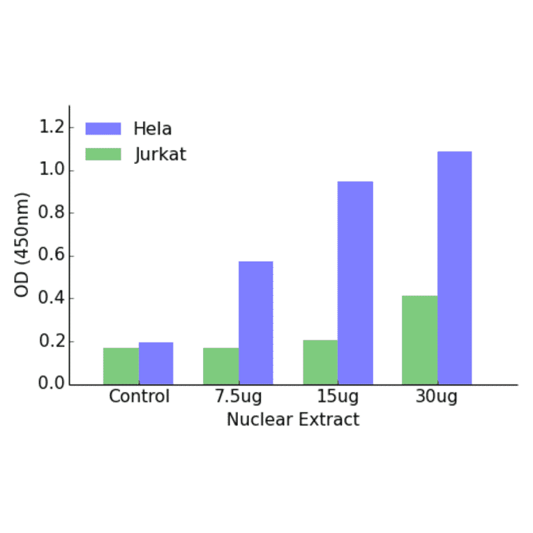 Validation Data - ETV6 ELISA Kit (TFE-7056) - Antibodies.com