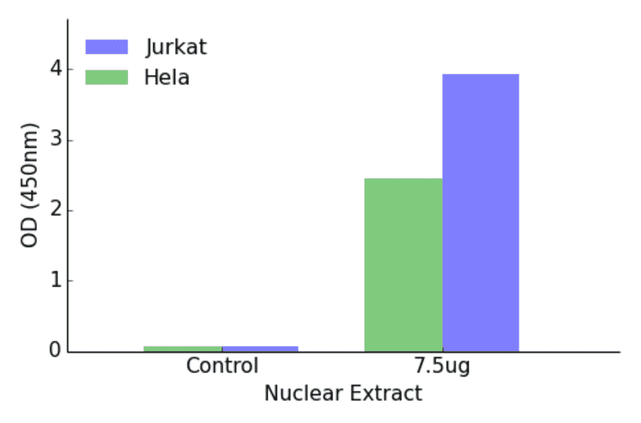 Validation Data - IRF2 ELISA Kit (TFE-7096) - Antibodies.com