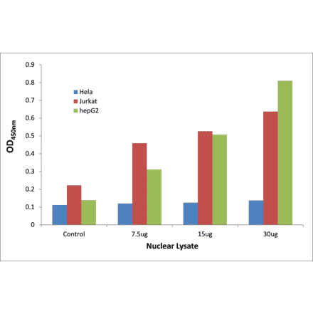 Validation Data - NFYA ELISA Kit (TFE-7117) - Antibodies.com