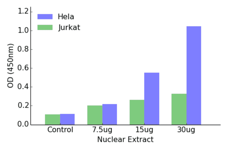 Validation Data - RFX3 ELISA Kit (TFE-7136) - Antibodies.com