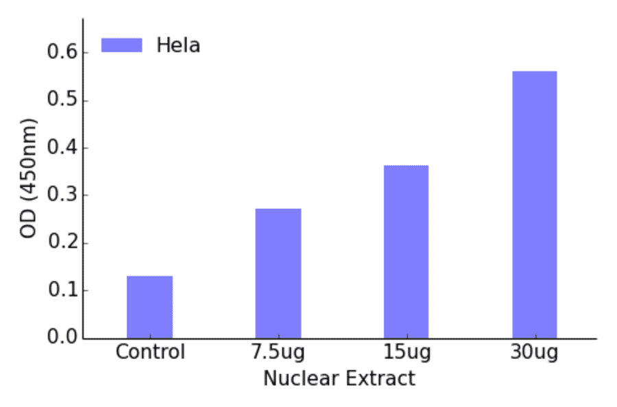 Validation Data - TBX1 ELISA Kit (TFE-7156) - Antibodies.com