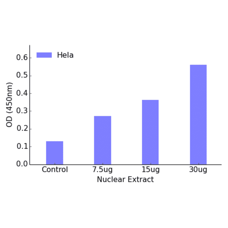 Validation Data - TBX1 ELISA Kit (TFE-7156) - Antibodies.com
