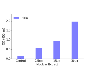 Validation Data - TBX2 ELISA Kit (TFE-7158) - Antibodies.com