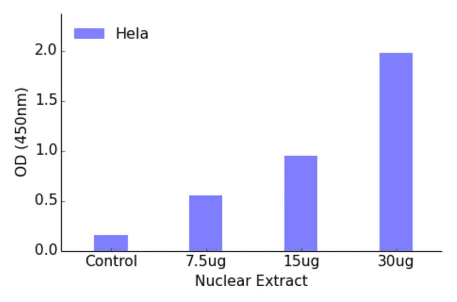 Validation Data - TBX2 ELISA Kit (TFE-7158) - Antibodies.com