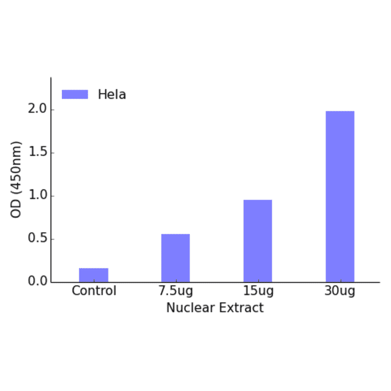 Validation Data - TBX2 ELISA Kit (TFE-7158) - Antibodies.com