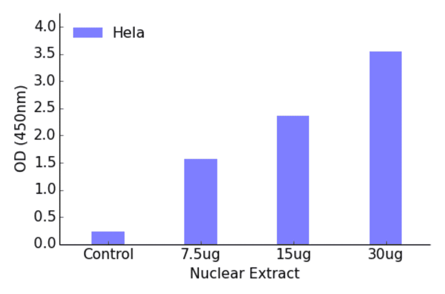 Validation Data - TBX3 ELISA Kit (TFE-7159) - Antibodies.com