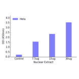 Validation Data - TBX3 ELISA Kit (TFE-7159) - Antibodies.com