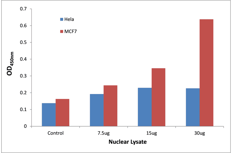 Validation Data - TFE3 ELISA Kit (TFE-7170) - Antibodies.com