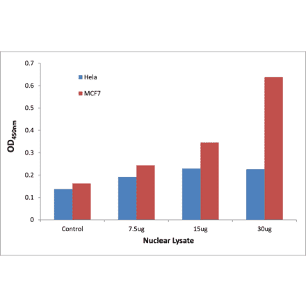 Validation Data - TFE3 ELISA Kit (TFE-7170) - Antibodies.com