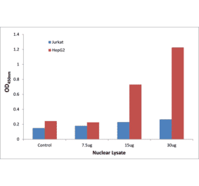 Validation Data - NFYB ELISA Kit (TFE-7185) - Antibodies.com