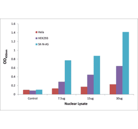 Validation Data - OCT3 ELISA Kit (TFE-7202) - Antibodies.com