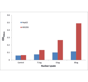 Validation Data - SOX6 ELISA Kit (TFE-7204) - Antibodies.com
