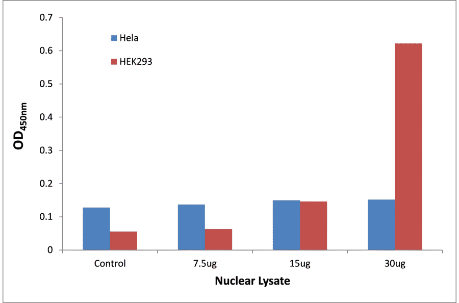 Validation Data - MAFF ELISA Kit (TFE-7208) - Antibodies.com