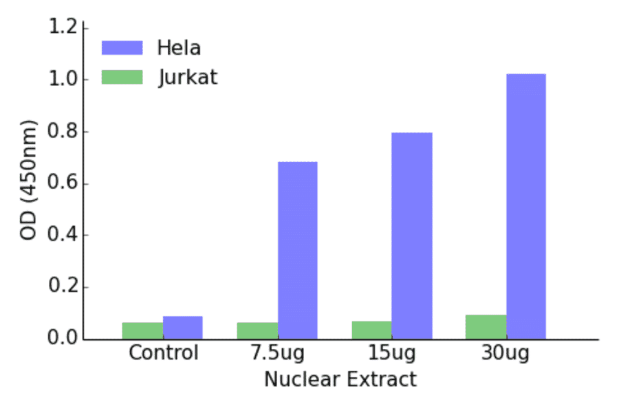 Validation Data - ERF ELISA Kit (TFE-7052) - Antibodies.com