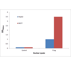 Validation Data - p53 ELISA Kit (TFE-7124) - Antibodies.com